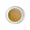 GOLD Paint Gel  Mistero Milano