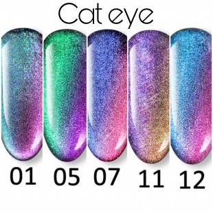 Cat Eye 9D Nail Gel Polish Galaxy  Canni